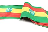 Ethiopia Flag Ethiopian Flag,100Feet/76Pcs National Country World Pennant Flags Banner,Party Decorations Supplies For,Bar,Indoor and outdoor flags,International Festival