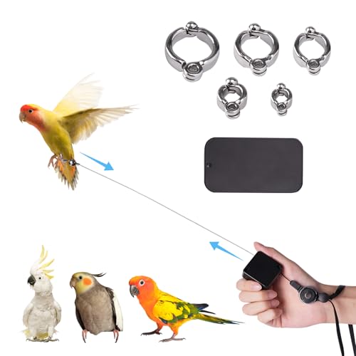 Swirge 6.5Ft Bird Leash, with 5 Different Size Foot Ring and Feeder Box, Retractable Anti-Bite Parrot Harness, Bird Flight Training Rope for Budgies,Cockatiels,Psittacula Longicauda,Mini Macaws