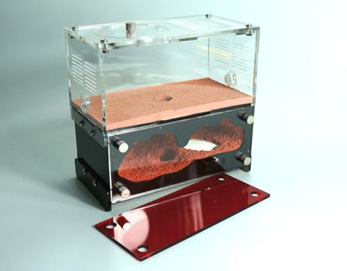 Ant Nest, Ant House, Ant Nest for ant Farm, Ant Behavior Study House, Middle Size Ant House.