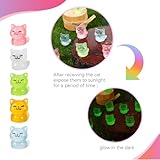 libfrnt 50 Pcs Luminous Mini Cat Figurines Resin Tiny Cat Animal Figurines Glow in The Dark Miniature Cat Statues Ornaments for DIY Projects Dollhouse Home Decor(Cute Style)