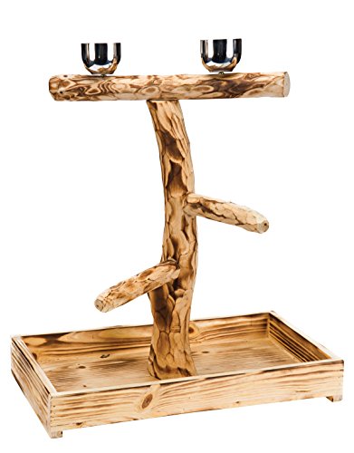 PENN-PLAX Bird-Life Natural Wood Tree Perch for Large Birds and Parrots – Includes Food and Water Bowls and Drop Tray – Large