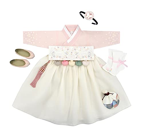 Girl Baby Hanbok First Birthday Party Korean Traditional Clothing 100th days 1-10 Ages Pink Ivory Embroidery DDG03 (Complete Set, 1 Age Hanbok)