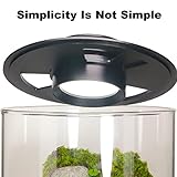 Desktop Glass Plant Terrarium with Grow Light (H:9.8" D:5.9"), for Succulent, Moss, Miniature Gardening Landscape, Betta Fish Tank, Indoor Plant Growth, Office Home Decoration, Plant Lovers Gifts