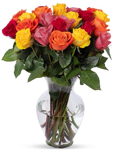 Benchmark Bouquets - 24 Stem Premium Rainbow Roses (Glass Vase Included) - Fresh Flowers for Delivery - Gift for Graduation, Birthday, Anniversary, Sympathy, Get Well, Congratulations