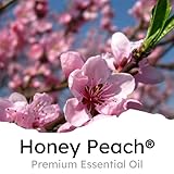 Air Jungles Honey Peach Scent Car Air Freshener Clip, 6 Vent Clips, 4ml Each, Long Lasting Air Freshener, Up to 180 Days Car Refresher Odor Eliminator