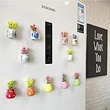 Cute Plant Fridge Magnets Funny Mini Plant Magnets for Fridge, Simulation Ceramic Flower Vase 3D Refrigerator Magnet Set 6 Pack,Decoration for Kitchen,House,Office,Whiteboard