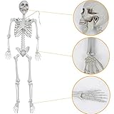 5.4ft/165cm Halloween Skeleton,Life Size Skeleton Plastic Full Body Human Bones with Movable Joints for Halloween Patio Lawn Yard Garden Party Prop Decoration