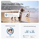 Tractive GPS Dog Tracker (2025 Release) | Real-time Pet Location Tracker | Health & Wellness Alerts | Virtual Fence for Dogs | Bark Monitoring | Dog Collar Attachment (Black)