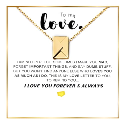 ziella To My Love Necklace For Women,Envelope Love Letter Necklace,Love You Secret Gift Message Engraved Locket Gift for Romantic Christmas Birthday Valentine (To Love, Gold)