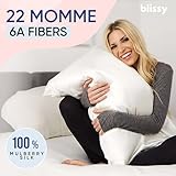 Blissy Silk Pillowcase - 100% Pure Mulberry Silk - 22 Momme 6A High-Grade Fibers - Silk Pillow Cover for Hair & Skin - Regular, Queen & King with Hidden Zipper (Standard,Blissy White)