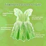 MDYCW Princess Tinker Bell Costume for Toddler Girls, Birthday Party Fairy Dress Up, Special Occasion Dress with Wings, Green