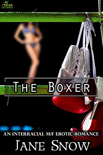 The Boxer