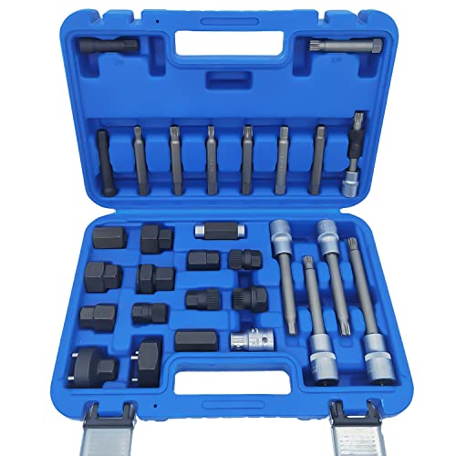 DIPMOTOR 30PCS Alternator Pulley Removal and Installation Tool Kit, Clutch Freewheel Removal Socket Bit Set, Compatible with Audi BMW Ford GM Mercedes Porsche Volvo Skoda VW and More Vehicle