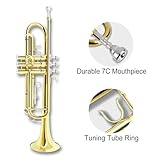 WUQIMUSC Standard Bb Trumpet Set for Beginners, Student Trumpet, Brass Trumpet Instrument, B Flat, with 7C Mouthpiece, Cleaning Cloth, Gloves and Hard Carrying Case (Golden)