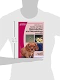 BSAVA Manual of Canine and Feline Reproduction and Neonatology