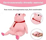 Stress Pink Pig Toy, Funny Cute Pink Pig Squishy Toy, Stress Stretch Pig Toy, Decompress and Squeeze Relief Toy for Children and Adults Sensory Toy, Funny Gift for Easter