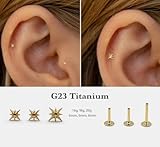 NONTAI 16G Tragus Piercing Jewelry, Threadless Titanium Flat Back Stud Earring Tiny Starbust Helix Conch Jewelry for Women