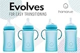 Hamarue 3-in-1 Glass Sippy Cups for Toddlers | Silicone Coated Glass Baby Bottles | Non-Toxic Transition Cup for Baby with Removeable Handles | Baby Straw Cup NB+,3M,6M,12M (Teal, 8 oz)