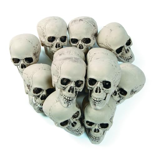 Bag of Realistic Bulk Skeleton Skulls (12 Pack) 5 Inch Human Skulls Halloween Decorations, Bar and Table Halloween Decor, Spooky Yard Decor