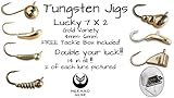 Tungsten Ice Fishing Jigs - Lucky 14 Pack Gold 4-6mm Free Tackle Box Case Included 1-2gm #8-10 Hook Lure Bait Walleye Crappie Panfish Trout