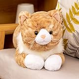 Fawowe Cat Weighted Stuffed Animals, 3.9 lbs 21.6 inch Weighted Cat Plush Toy Realistic Cat Weighted Plush Animals Pillow Gifts for Adults and Kids