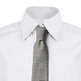 Ambesonne Necktie, Modern Geometric Streaks, 3.7", Dark Grey and Eggshell