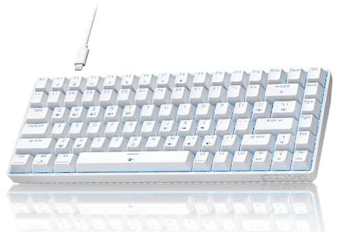 TMKB T84SE Gaming Keyboard, 75% Mechanical Gaming Keyboard with Tactile Brown Switch, Ice Blue LED Backlit, Detachable USB-C, Full Anti-Ghosting for Gaming/Typing/PC/Laptop/Win/Mac, US Layout, White
