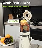 Juicer Machines, Zasmira Cold Press Juicer with 5" Large Feed Chute for Whole Vegetables and Fruits, High Juice Yield Juice Extractor with Powerful Quiet Motor, Easy to Clean, White