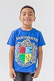 Harry Potter Big Boys 3 Pack Pullover T-Shirts Blue/Grey/Red 10-12