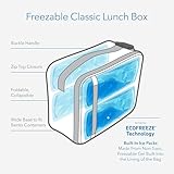 PackIt Freezable Classic Lunch Box, Black, Built with EcoFreeze® Technology, Collapsible, Reusable, Zip Closure With Zip Front Pocket and Buckle Handle, Designed for Fresh Lunches