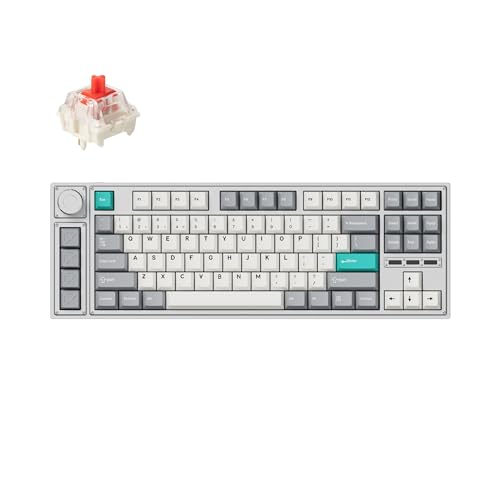 LEMOKEY L3 TKL Layout Wireless QMK/Launcher Full-Metal Hot-Swappable RGB Backlight Custom Mechanical Keyboard for Windows/Linux, Gateron Red Switch, Fully Assembled Knob - Silver