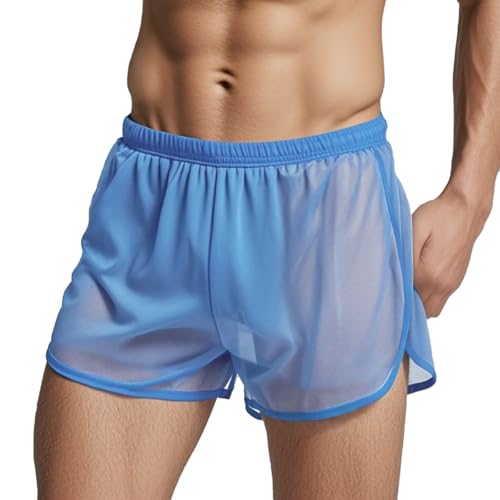 YINYOUYU Mens Mesh Shorts Sexy See Through Underwear Large Split Side Loose Breathable Boxers Short M Blue