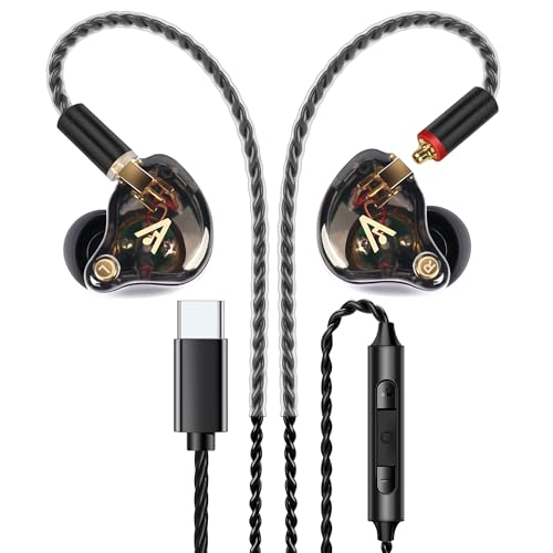 Vibes 202MC USB-C Wired Earbuds - HiFi in Ear Monitor Headphones - Noise Isolating Ear Buds w/ Mic - Clear Sound, Deep Bass & Comfort-Fit Earphones - MMCX to USBC, Silver Plated Cord, Carrying Case