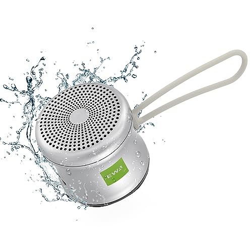 EWA A119 Mini Bluetooth Speaker with Lanyard, Small Speaker with Bass Radiator, IPX7 Waterproof, Tiny but Powerful, Super Cute Metal Wireless Portable Speaker (Silver)