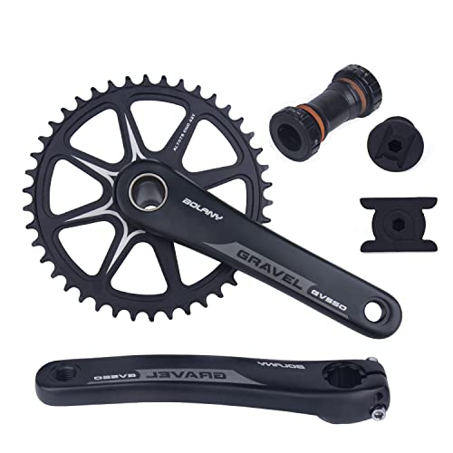 BOLANY Bike Cranksets Gravel 170mm Hollow Integrated 42T Single Chainring Direct Mount with Bottom Bracket Fit for Off Road Bike Crankset Compatible with 10/11speed (170mm-42T)