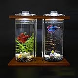 Creative Bamboo and Wood Ecological Fish Tank Dual Glass Desktop Mini DIY Goldfish Betta Fish Tank Aquarium Small Fish Tank