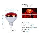 4 Pack 250 Watts Heat Lamp Bulbs, R40 Brooder Heat Lamp for Chickens, Infrared Reflector Heat Bulbs for Brooder Heater, Incandescent Heating bulb for Pet, Light Therapy, Bathroom, Food