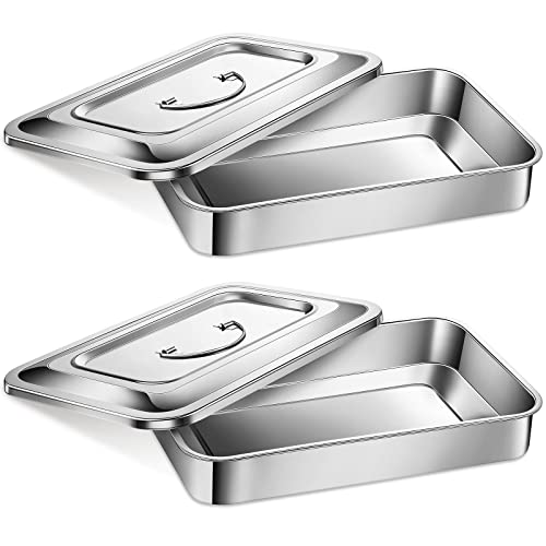 Fabbay 2 Medical Surgical Trays 201 Stainless Steel Dental Instruments Tray Organizer Holder Sterilized Metal Box with Lid and Handle Grip for Medical Surgical Dental Instruments (12 Inch)