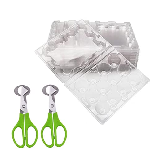 Egg Dispenser Holder Case & Protection Box - 25 Quail Egg Cartons & 2PCS Stainless Steel Cutter