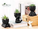 Der Rose 3pcs Fake Succulents Plants Artificial for Black Bathroom Bedroom Home Room Decor Aesthetic Indoor