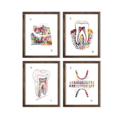 Dental Watercolor Art Prints Orthodontist Dentist Dentistry Assistant Student Wall Art Decor Gifts Dental Office Wall Art Decor Dental Hygienist Gifts 8x10 Unframed Print Set