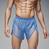 YINYOUYU Mens Mesh Shorts Sexy See Through Underwear Large Split Side Loose Breathable Boxers Short M Blue