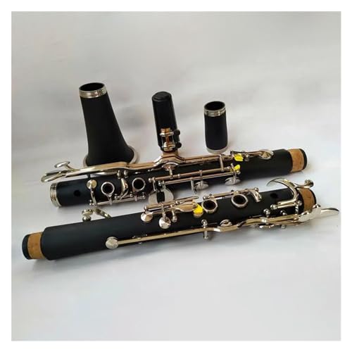 Professional Clarinet Composite Wood Body 18 Key G Tone Clarinet Instruments With Storage Case And Accessories