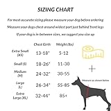 ShawnCo Essential Dog Harness, No-Pull Pet Vest with 3 Leash Clips, No Choke, Reflective, Adjustable and Padded, for Easy Walking and Training for Small, Medium and Large Dogs (Orchid, L)