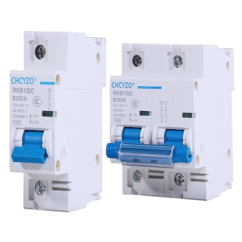 1P 2P DC Breaker 12V 24V 36V 48V 96V 120V DC Circuit Breaker 100A 200A 250A Solar Battery Protector Car Charging Pile Isolator (Color : 2P, Size : 200A)