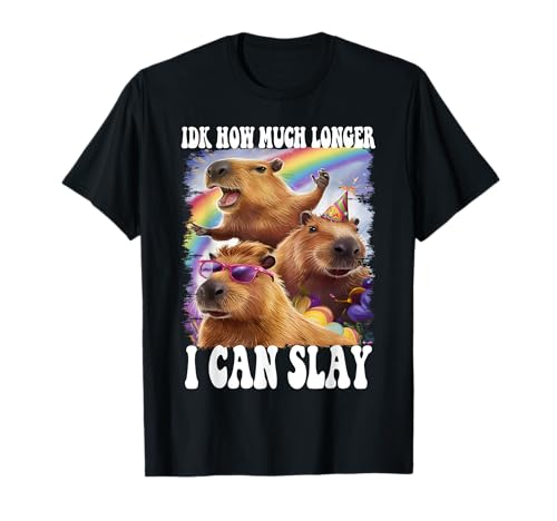 Idk How Much Longer I Can Slay Capybara Funny Meme T-Shirt