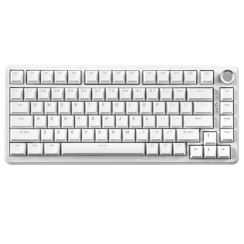 YUNZII B75 Mechanical Keyboard,75% Layout with Knob,Hot Swappable RGB Backlit Gasket Mounted, Creamy Typing, Double-Shot PBT Keycaps,Cherry Profile,for Win/Mac (White, Milk V2 Linear Switch)