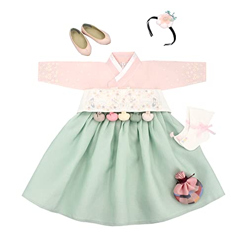 Girl Baby Hanbok First Birthday Party Celebration Korean Traditional Clothing 100th days 1-10 Ages Pink Mint Embroidery DDG09 (Complete Set, 1 Age Hanbok)