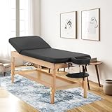 FDW Massage Table 2 Fold Physical Therapy Table 28 Inches Wide Massage Bed Lash Bed Height and BackRest Adjustable Fixed Type Spa Bed for Medical Recovery Professional Massage Family Physical Therapy