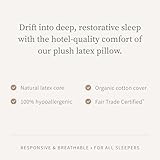 Saatva Latex Pillow - Standard Loft (4" - 5") - Hypoallergenic Pillow with Shredded Latex Core - Breathable - Machine Washable Organic Cotton Cover - King (34"x16") 1 Pack